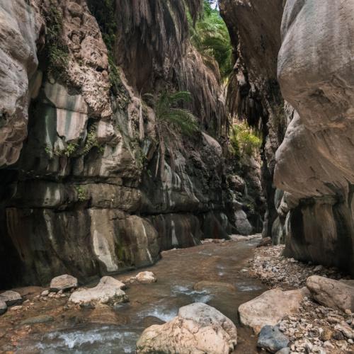 Wadi Bin Hammad
