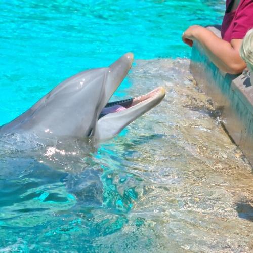 Orlando, SeaWorld