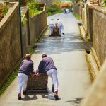 Tocht per Toboggan