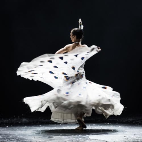 Dynamic Yunnan Show