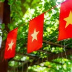 Vietnamese vlaggetjes