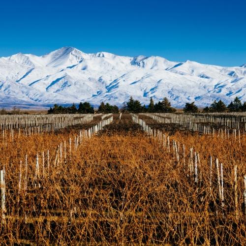  Mendoza