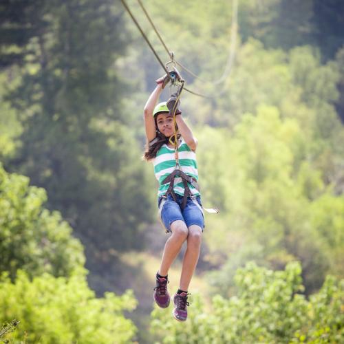Canopy tour