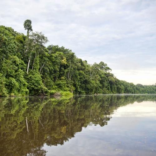 De rivier in het Tambopata Nationaal Park