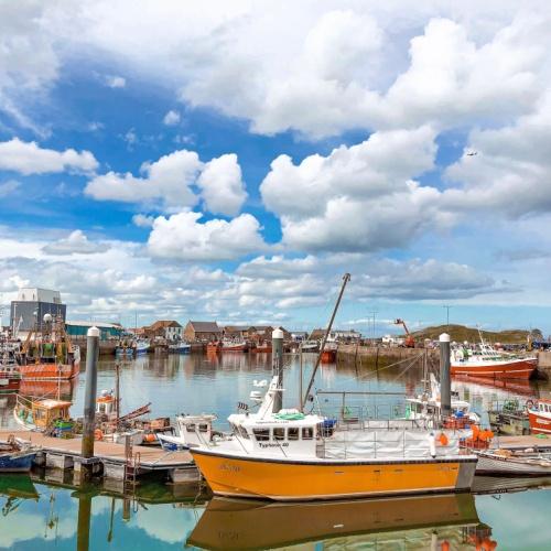 Howth, boten 