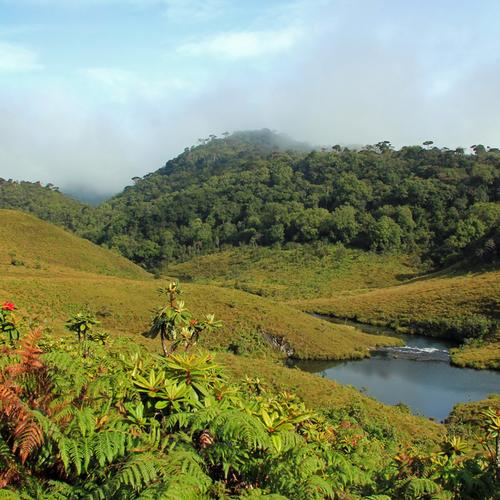 Horton Plains