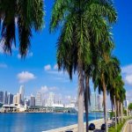 Miami haven