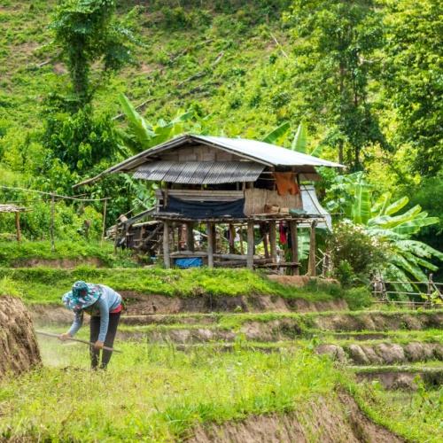 Locals in Maewang houden het land bij