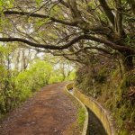Levada da Serra, Madeira