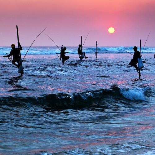 Sri Lanka, Paalvissers