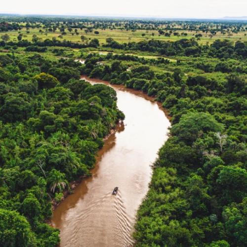 Rivier Pantanal