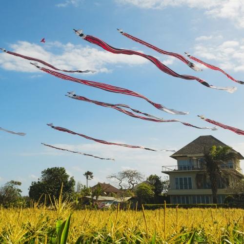 Traditionele Balinese vliegers