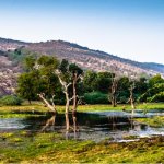 Ranthambore National Park