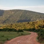 Addo Nationaal Park