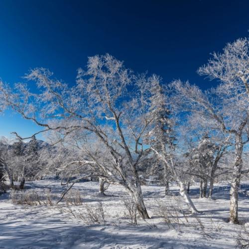 Omgeving Changbaishan, Changbai, China in winter