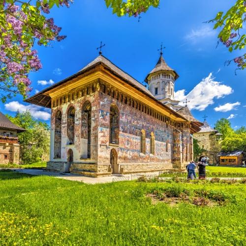 Bucovina, Moldovita Monastry
