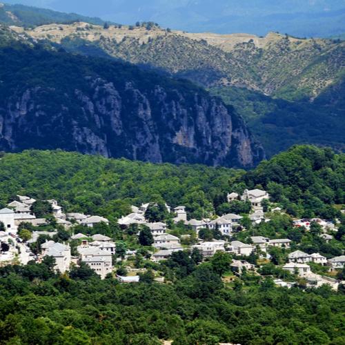 Monodendri