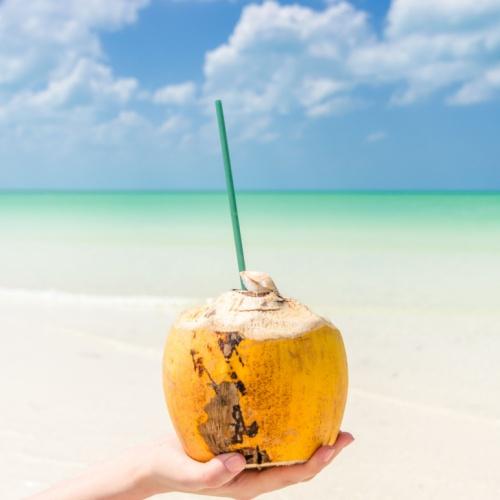 Kokosnoot op het strand van Holbox