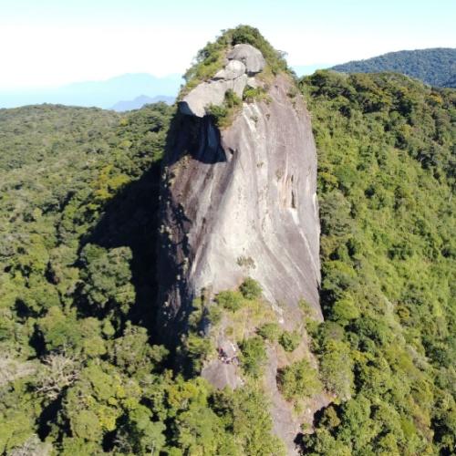 Parrot's Peak in Ilha Grande