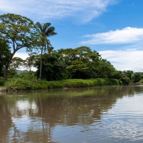 Puerto Viejo de Sarapiquí