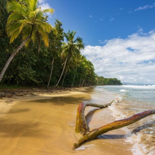 Puerto Viejo de Talamanca