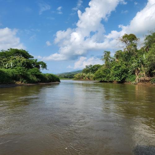 Tárcoles-rivier