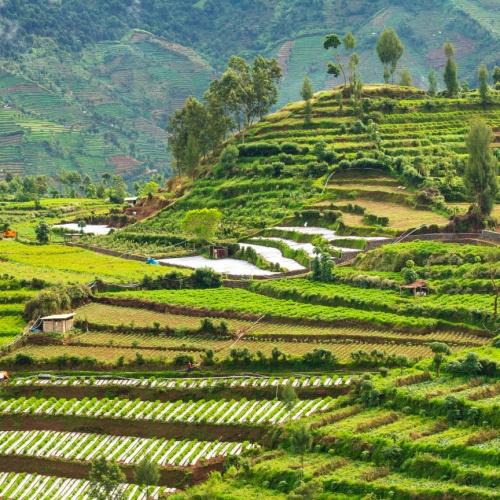 Dieng Plateau