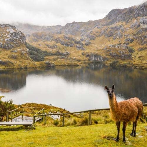 El Cajas Nationaal Park