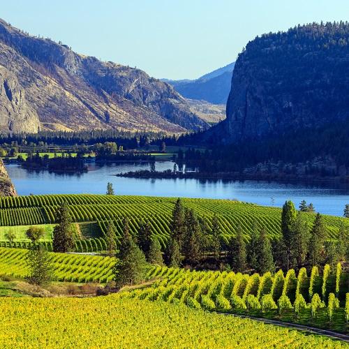 Okanagan Valley met wijngaarden