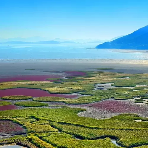 Suncheon Bay Wetland