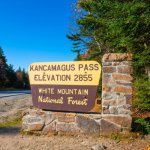 White Mountain National Forest