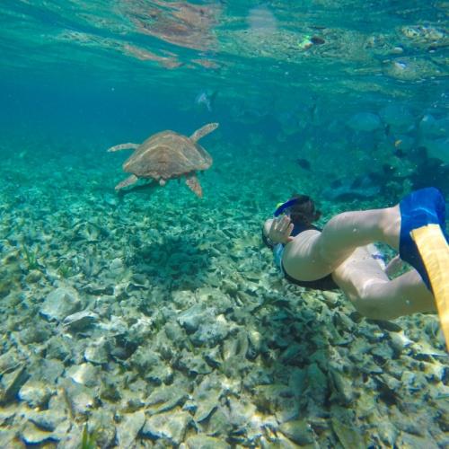 Snorkelen in Belize