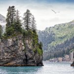Kenai Fjords Nationaal Park