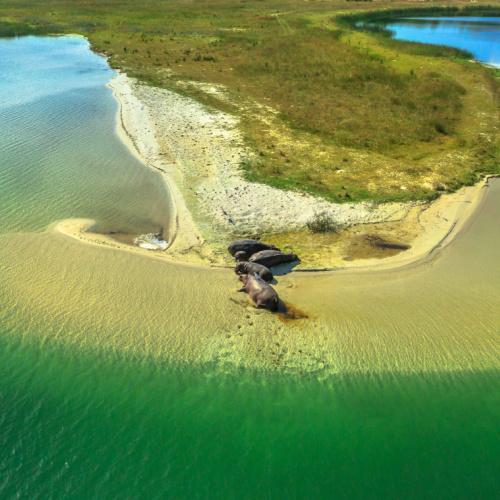 iSimangaliso Wetland Park