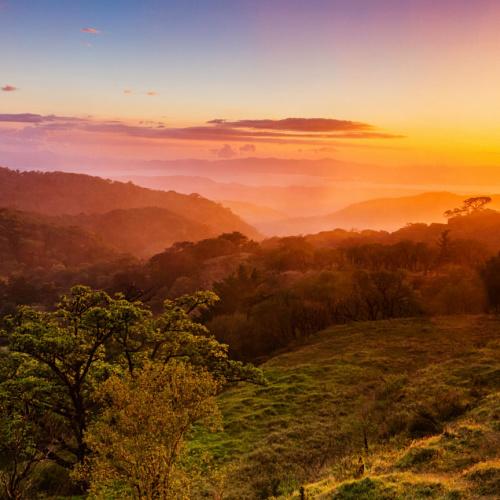 Monteverde