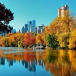 Central Park NY Autumn