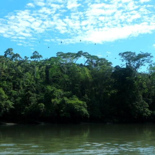 Ecuador, Tena