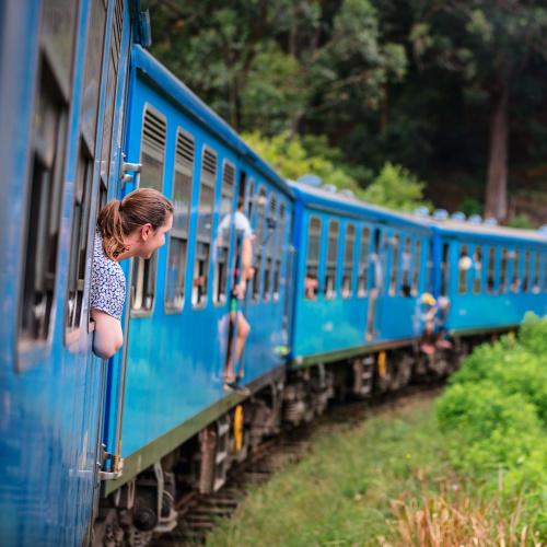 Trein