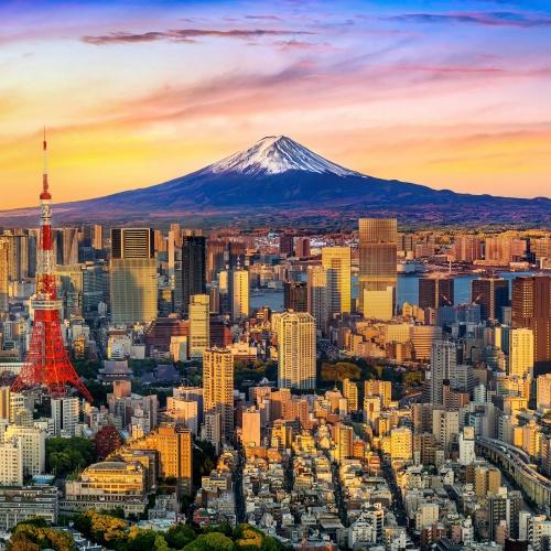 De skyline van Tokio met zicht op de Mt. Fuji