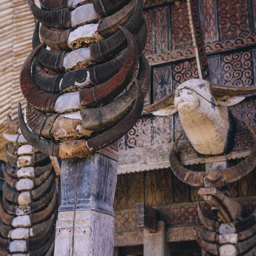Buffelhoorn decoratie op traditionele Tongkonan huis in Toraja