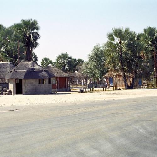 Maun