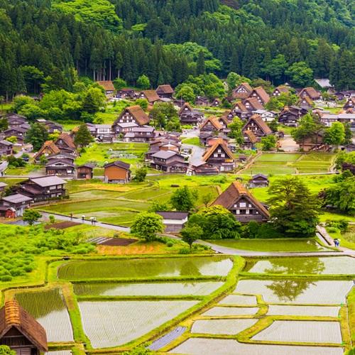 Shirakawago