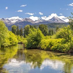 River of Golden Dreams