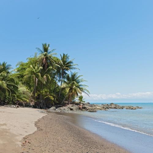 Drake Bay