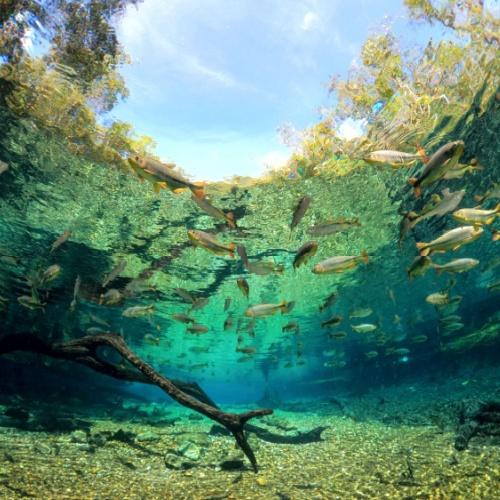 Barra do Sucuri