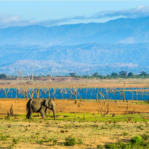 Udawalawe