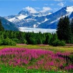 Juneau
