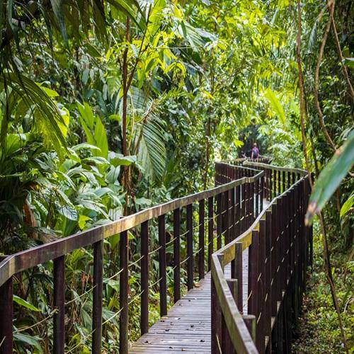 Cahuita Nationaal Park