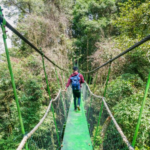 Bukit Lawang