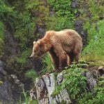 Alaska